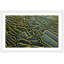 Single Picture Frame Print-77298798