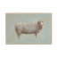 Badilla Sheep Strut III by Marilyn Wendling - Painting-862318474-862318468