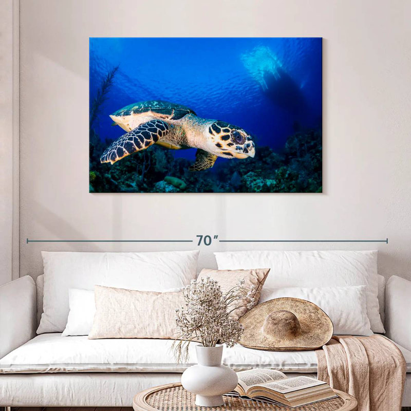 Brampt Underwater Hawksbill Turtle