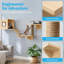 Cat Wall Shelves Cat Perch