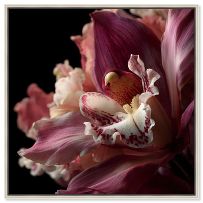 Velvet Labellum Print by Oliver Gal