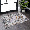 2X3 Area Rug Non-Shedding Stain Resistant Traditional For Entry Decor