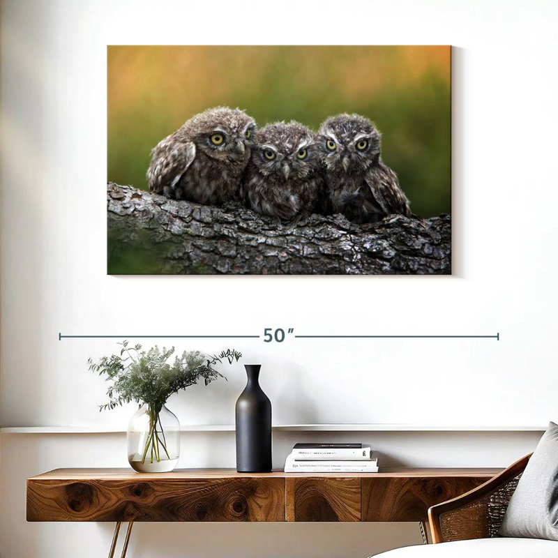 Brampt Snuggling Young Owls, 26" H x 39" W