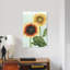 «Sunflower Study I», reproduction d'art sur toile-20849635-73159004-73159005