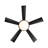 Ceiling Fan with LED Lights
