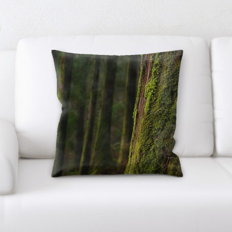 Coussin décoratif Donnelly