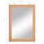 Glenville Wood Flat Wall Mirror