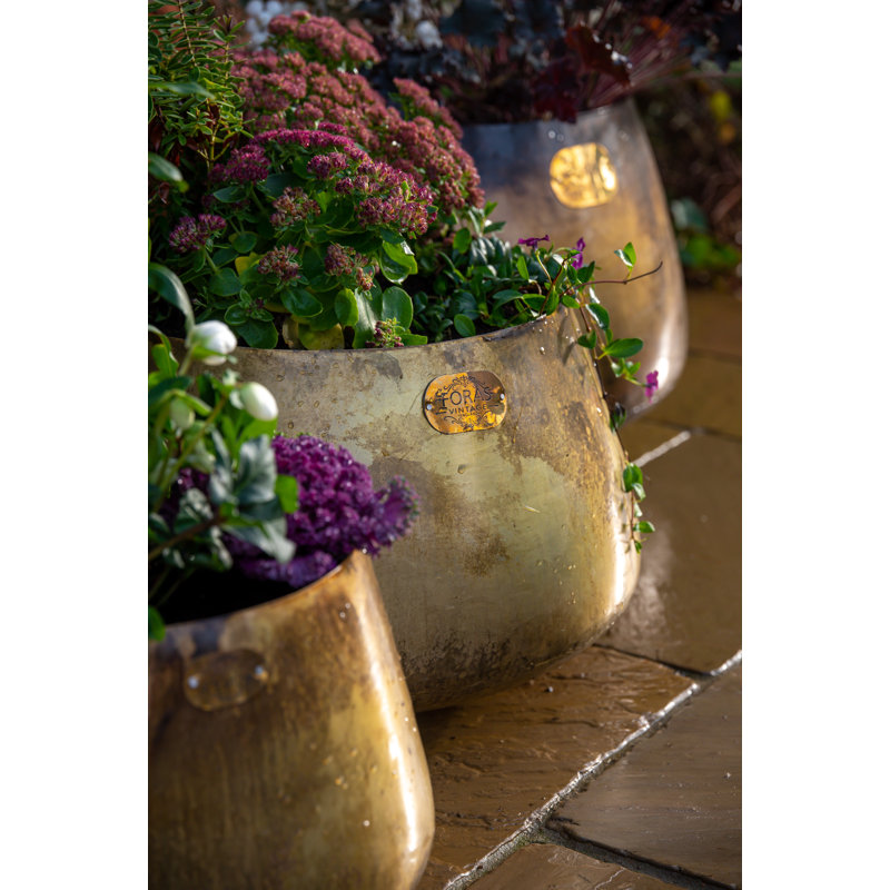 Pelaez Metal Pot Planter, 39cm H x 65cm W x 65cm D