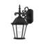 Lanterne murale d'extérieur noire à 1 ampoule H 15,25 po