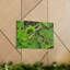 No Frame Print on Canvas