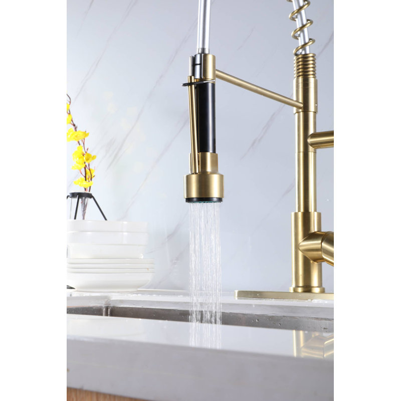 Wonderland America Pull Down Kitchen Faucet, Brushed Gold