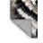 Washable Alaskan Malamute Dogs Area Rug-261911329