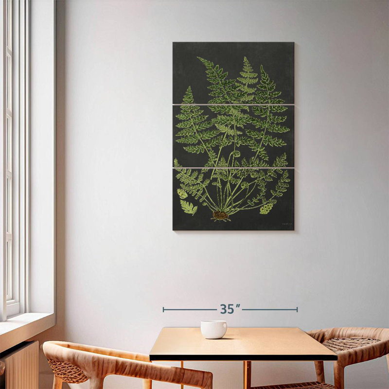 Fern Study, 57" H x 36" W