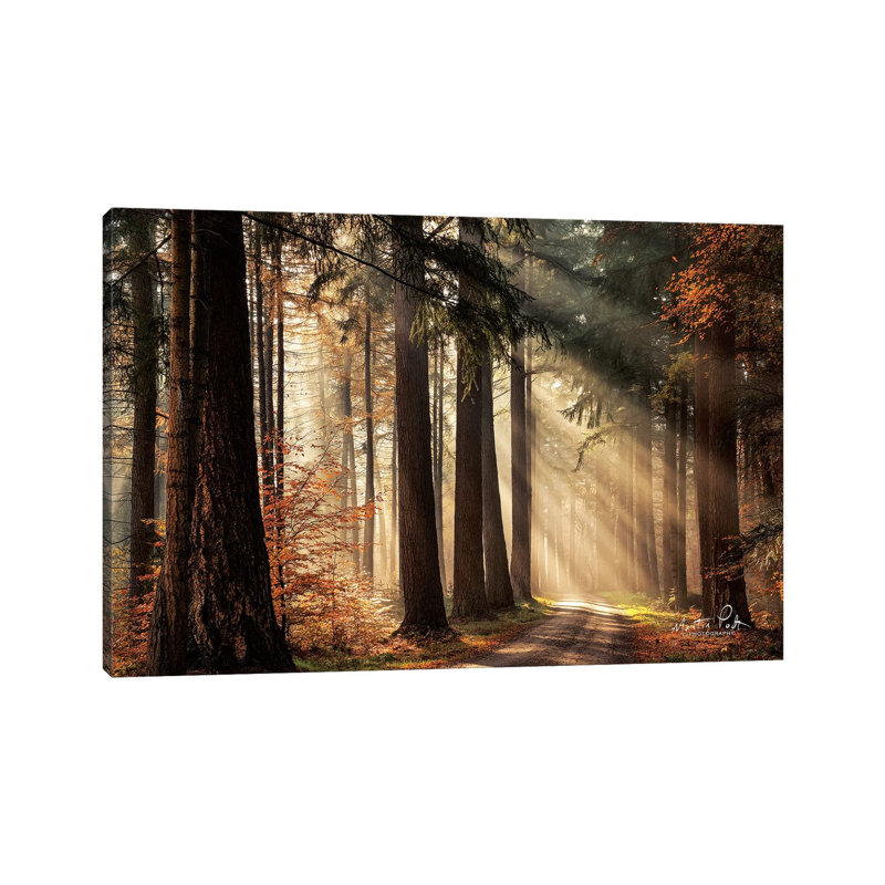 «Fresh Autumn Light» par Martin Podt - reproduction d'art, Toile tendue, H 26 po x l 40 po x 1,5 po