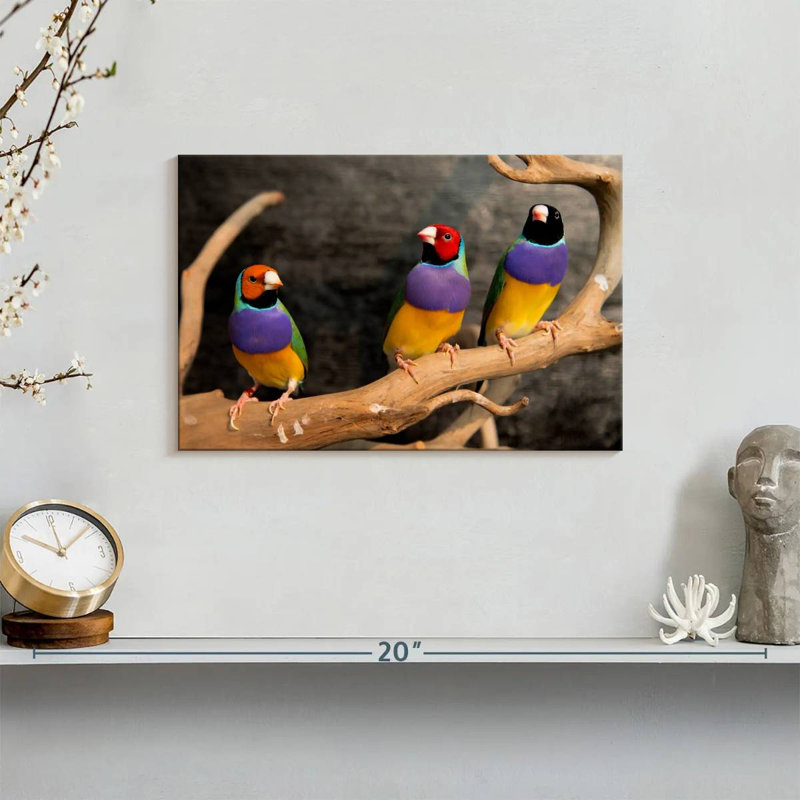 Rainbow Finches, 8" H x 12" W