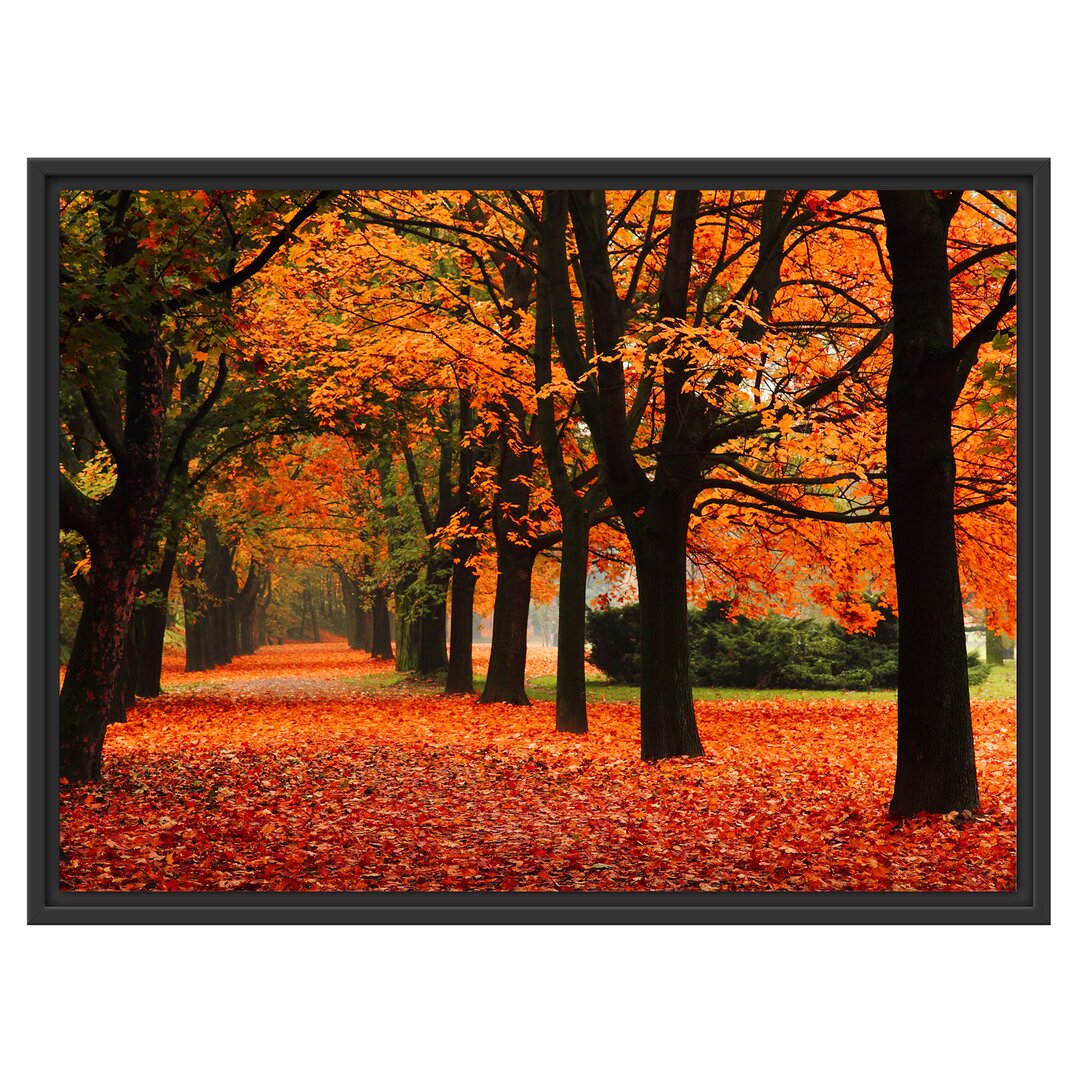 Avenue of Trees in Autumn Gerahmter Kunstdruck