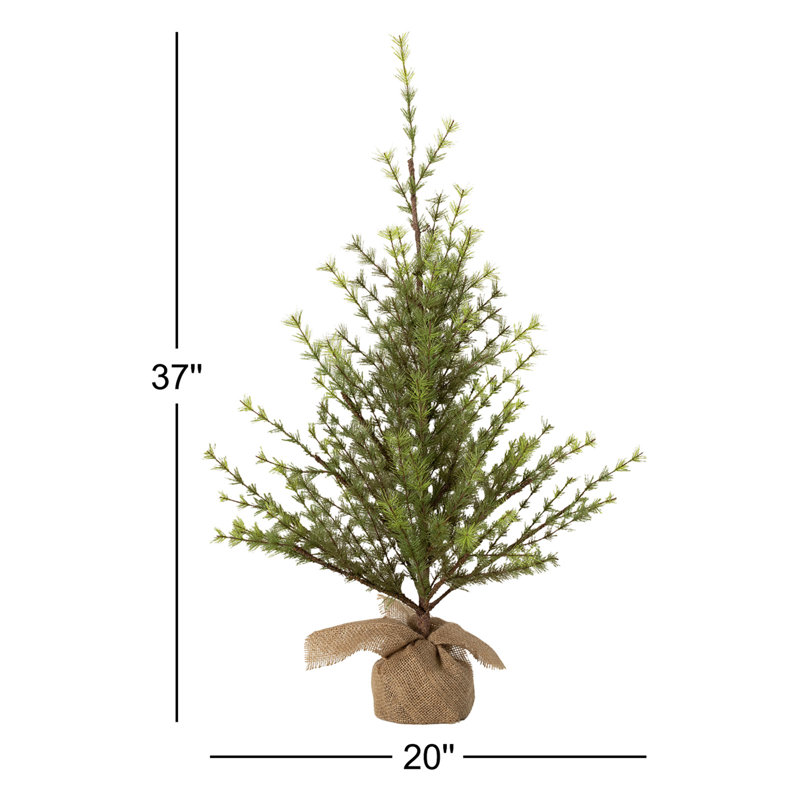 Plante Soto 37 po