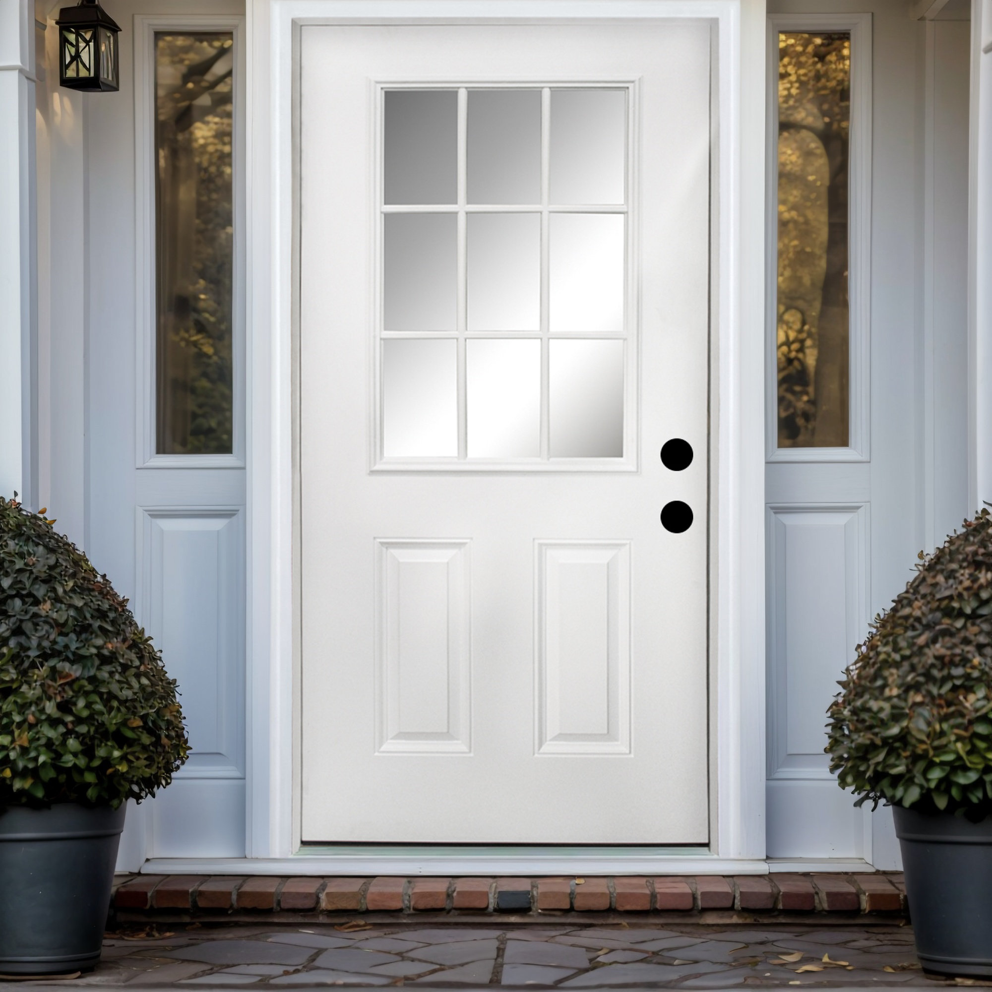 Protons Link 36 In. X 80 In. Fiberglass Prehung Front Entry Door | Wayfair