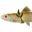 Plafonnier encastré 2 lumières Metro Fusion Rainbow Trout