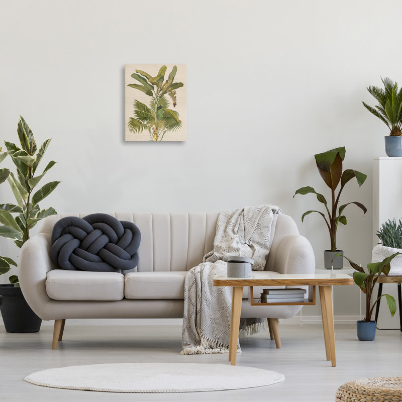 Art mural rétro sur toile par une plante tropicale rétro par Amber Sterling, H 20 po x l 16 po