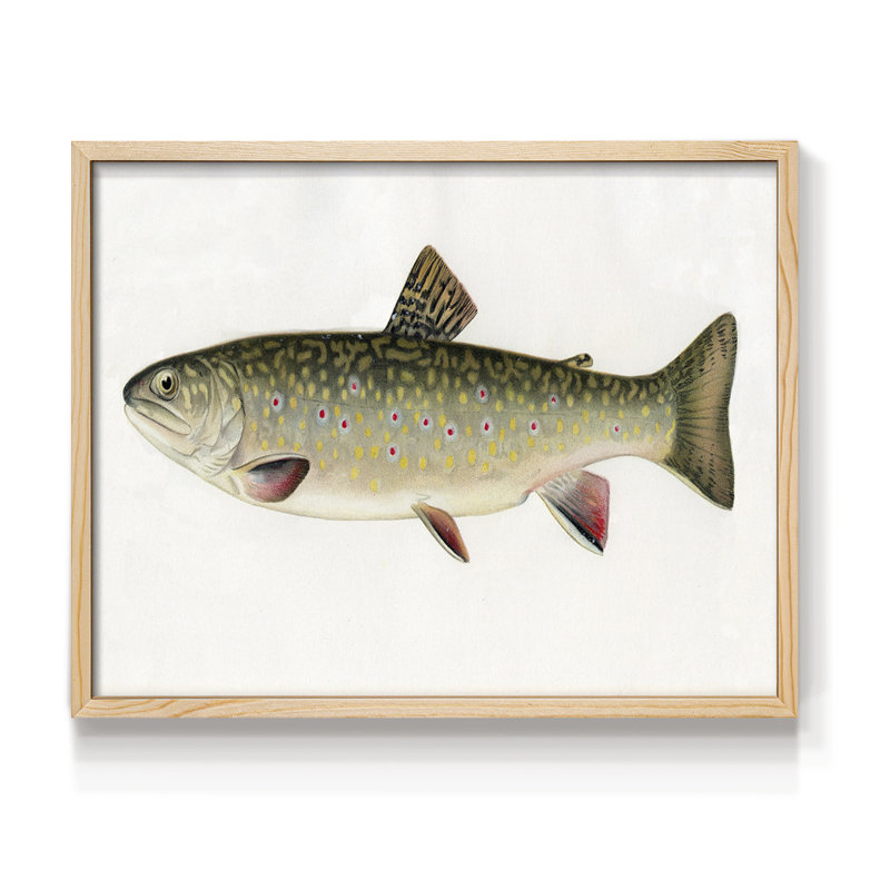 Grande bouche noire, basse, impression encadrée, H 8 po x l 10 po, Naturel