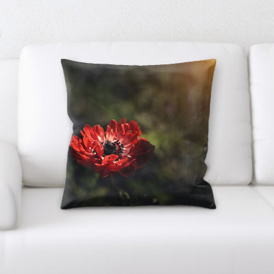 Coussin anemone
