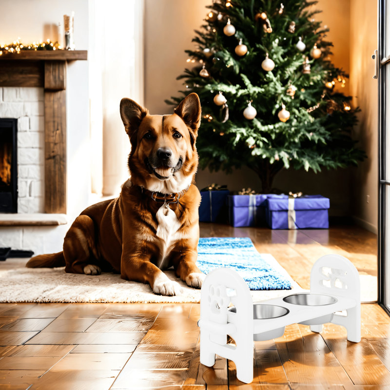 Bol pour animal de compagnie Travel-Ready