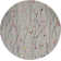 Aratrika Floral Gray Area Rug