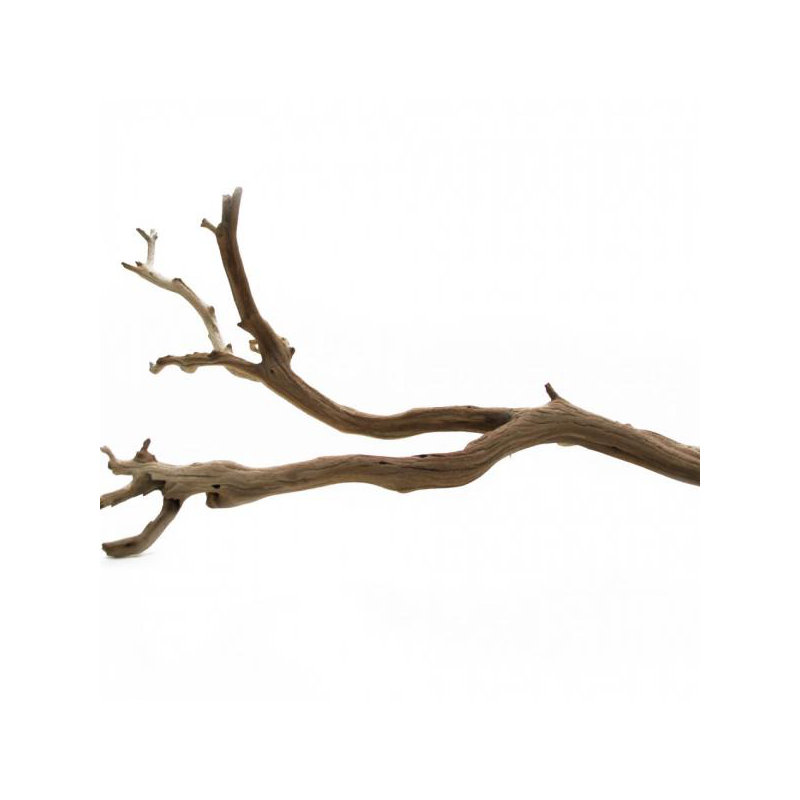 Sculpture décorative naturelle Adolfa, l 12 po