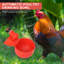 Ensemble de 12 tasses à eau automatiques pour poulets de 3/8 po