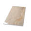 Splendor 24'' W x 48'' L Porcelain Singular Tile-1205124924