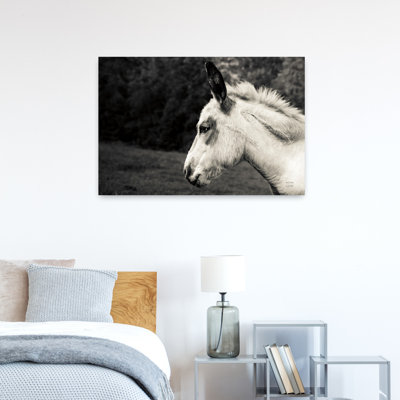 Art contemporain cheval contemporain