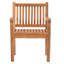 Catriona Outdoor Teak Dining Armchair