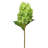 29" Soft Touch Garden Cone Hydrangea Stem -1991238299