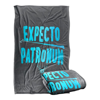 Wizardly Comfort: Harry Potter Silky Soft Throw Blanket 36"x58""