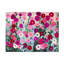 Impression sur toile Tove Hoglund Img 6875PS-143101997