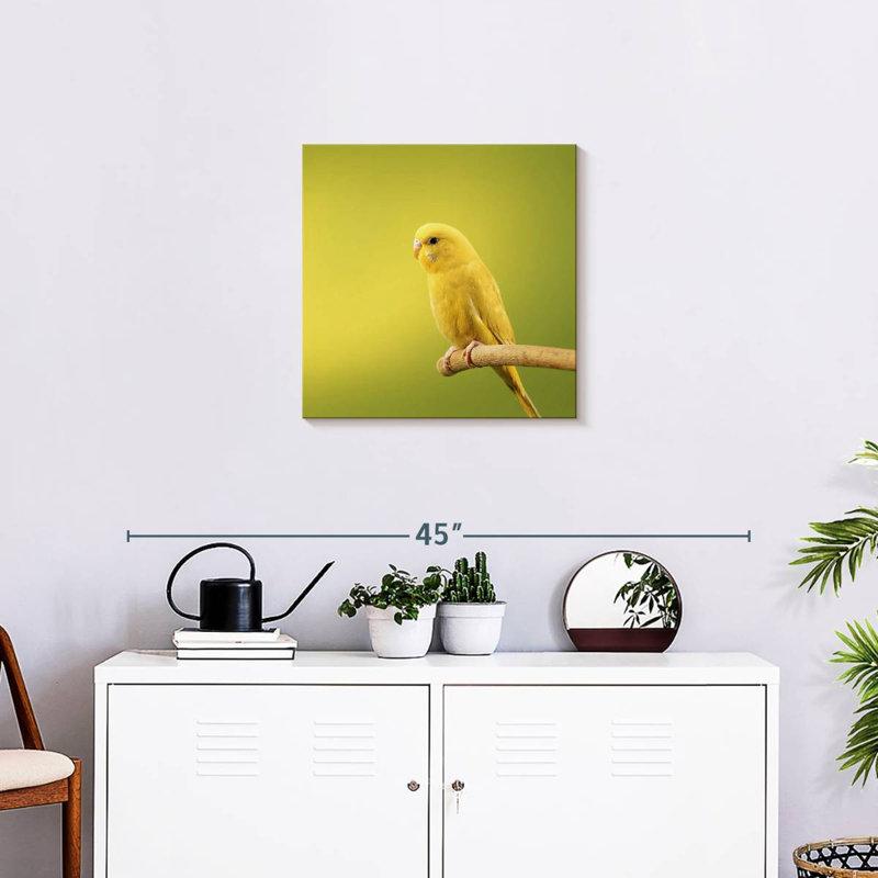 Brampt Perched Yellow Parakeet, 20" H x 20" W