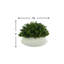 11'' Faux Boxwood Plant in Fiberstone Planter