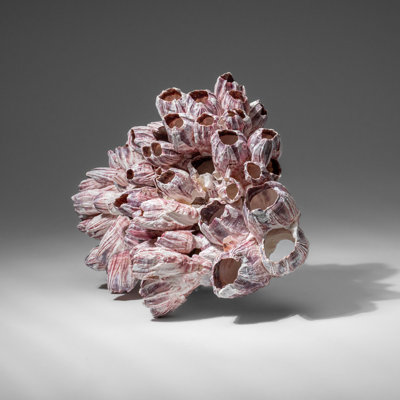 Barnacle Cluster Decorative Object