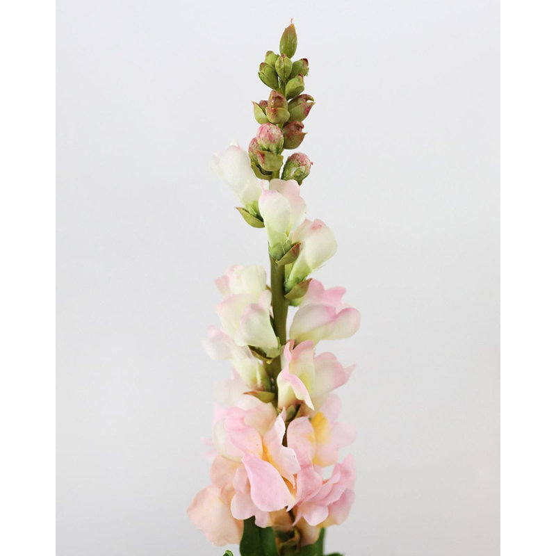 Real Touch Coral Snapdragon 23”, Pink