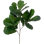 Vaporisateur de feuilles 34 "34" - paquet de 2