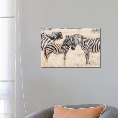 Africa, Kenya, Maasai Mara National Reserve. Adult and Juvenile Zebras 1 Piece Wrapped Canvas Wall Art