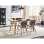 Rayneshia Solid Wood Base Dining Table