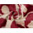 Velvet Throw Pillow