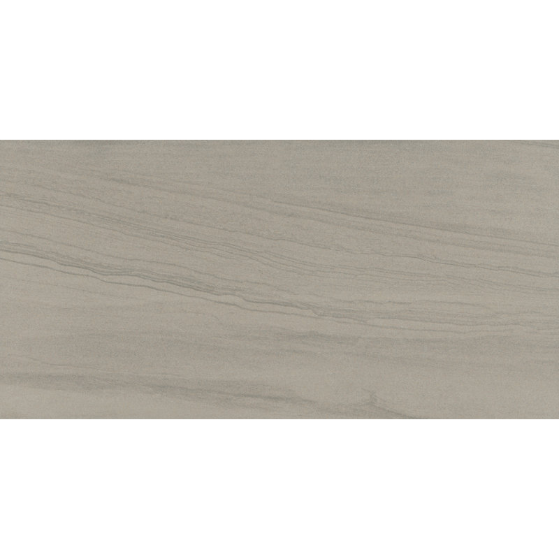 Sandstorm Gobi 12 in. x 24 in. Matte Porcelain Floor and Wall Tile (11.63 sq. ft./Case), Kalahari