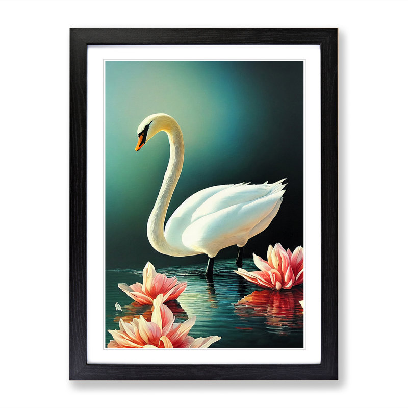 Swan In A Lily Pond - Single Picture Frame Print, Black Framed, 34cm H x 25cm W x 2cm D