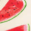 Coussin Watermelon-103877939