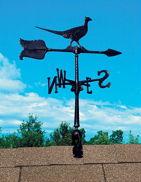 24" Pheasant Accent Weathervane