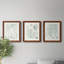 Verdure Ferns VII - ensemble de 3 peintures sur toile encadrées-1899046578-1899046577