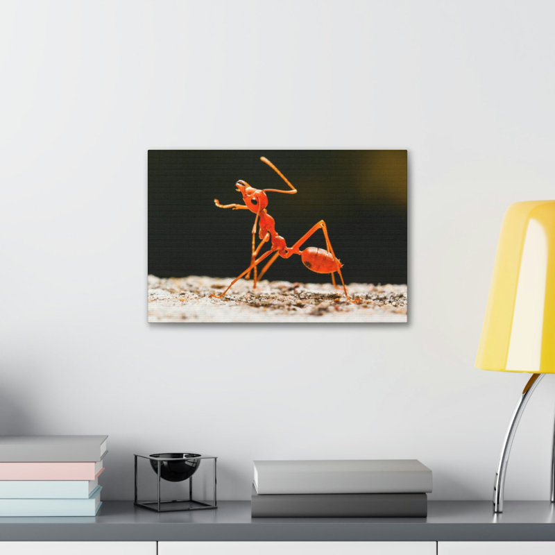 Ant Walk Real Ant Wall Art, 12" H x 18" W